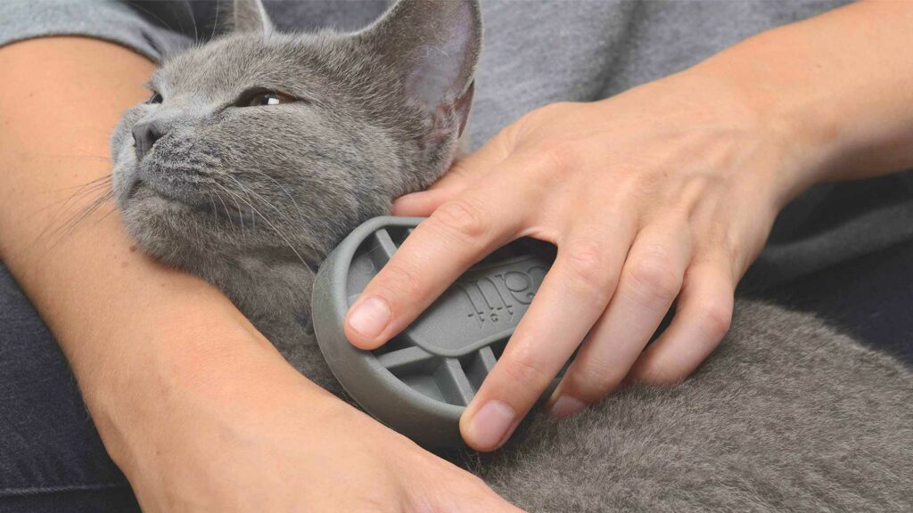 Get the most out of your Catit Shorthair Grooming Kit!