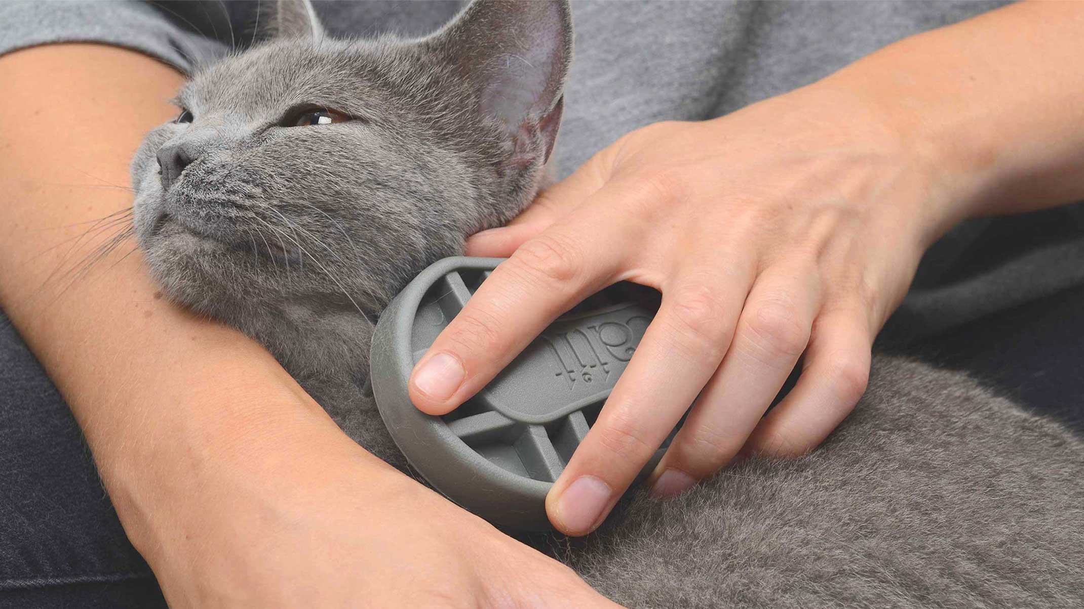 Get the most out of your Catit Shorthair Grooming Kit! - Catit