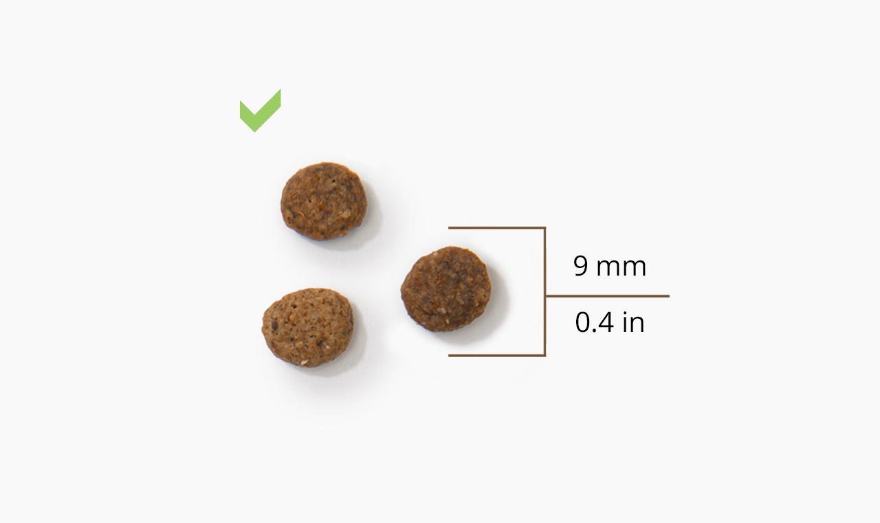Compatible with all standard food pellet sizes and shapes