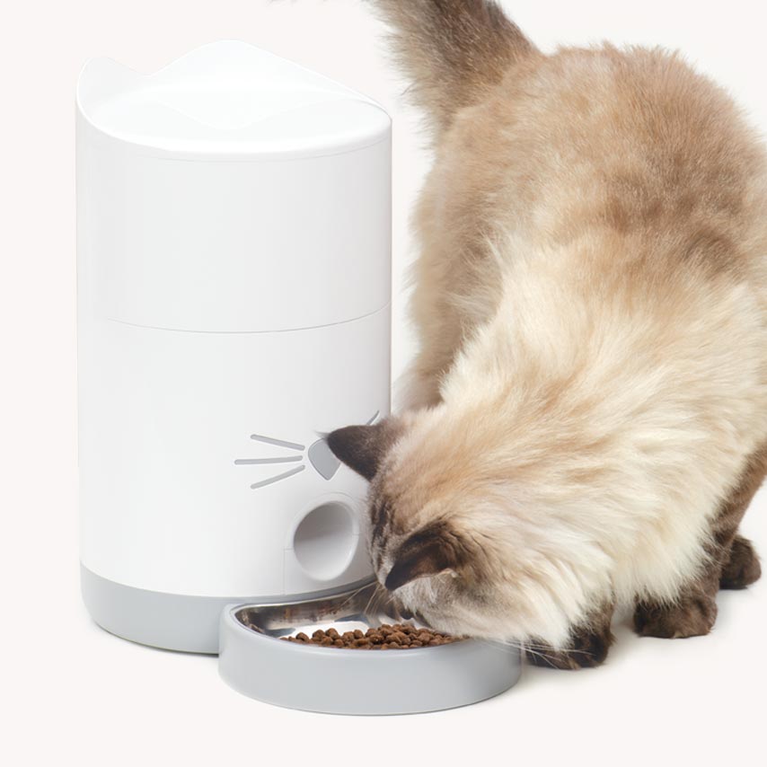 PIXI Smart Voerautomaat voert je kat volgens schema
