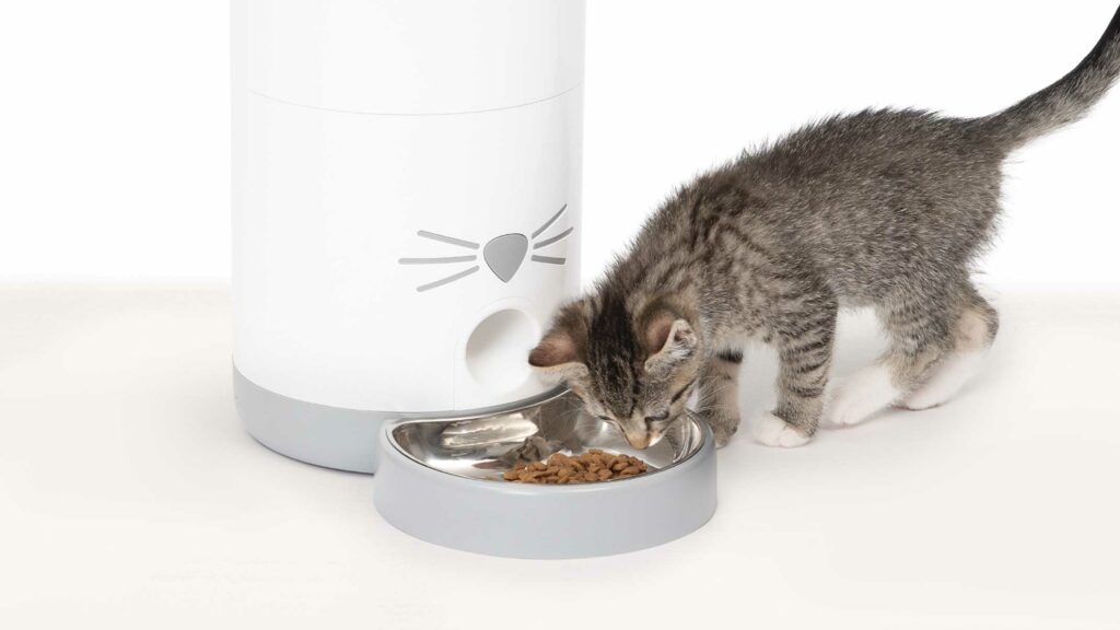 How the Catit PIXI Smart Feeder changes your life!