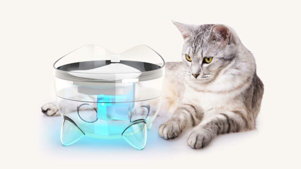 How our Smart Fountain’s UVC tech benefits your cat’s health