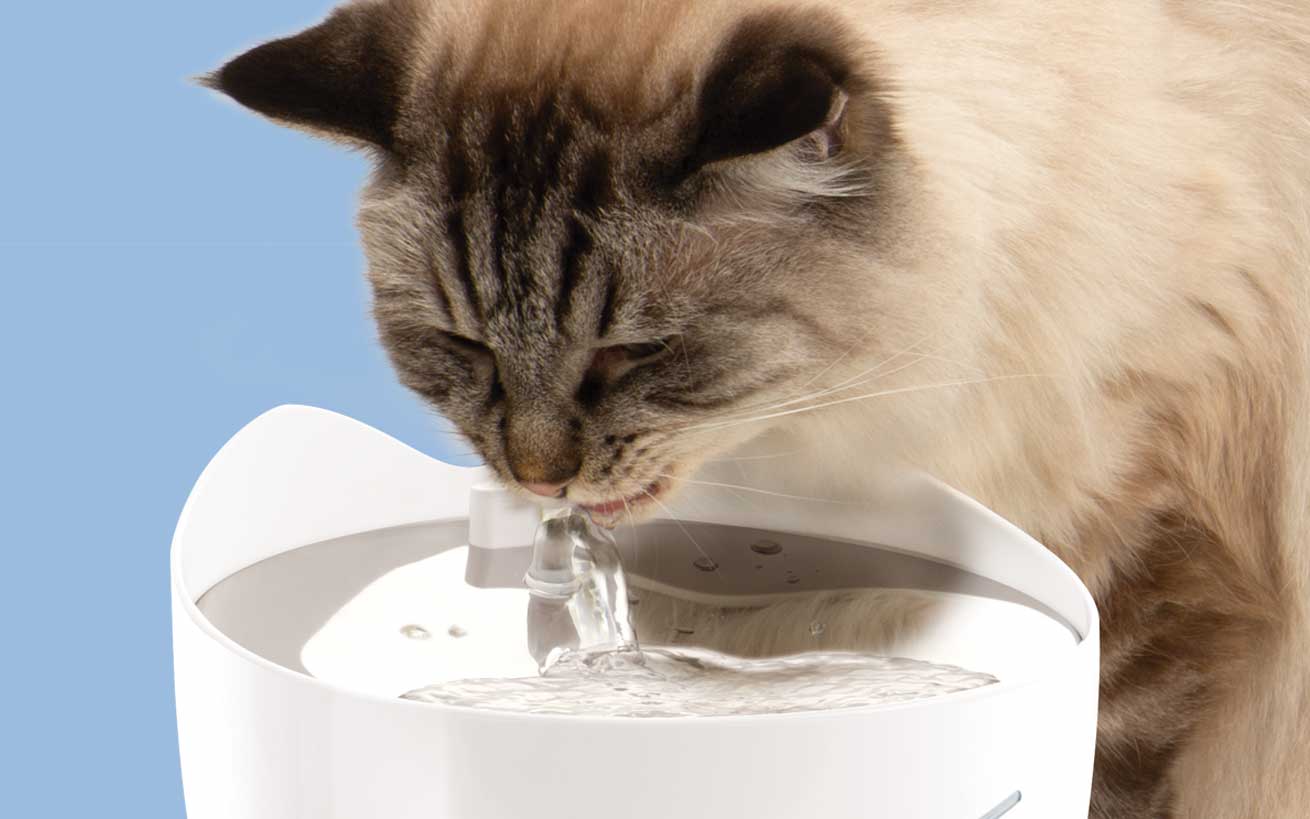 In der freien Natur ist stehendes Wasser ein hervorragender Nährboden für gefährliche Bakterien, die eine Katze sehr krank machen können. Fließendes Wasser hingegen ist viel sicherer, und deshalb trinken viele Hauskatzen immer noch lieber aus fließenden Wasserquellen. Alle Catit Trinkbrunnen locken deine Katze nicht nur mit fließendem Wasser, sondern verfügen auch über einen Filter, der Gerüche, Verunreinigungen, Kalzium und Magnesium entfernt. Der Catit PIXI Smart-Trinkbrunnen enthält sogar einen UVC-Sterilisator, der bis zu 99,7 % der Bakterien und Viren im Wasser abtötet. Das Trinkwasser deiner Katze war noch nie so rein!