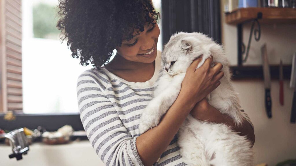 Why adopt an adult cat and what to expect