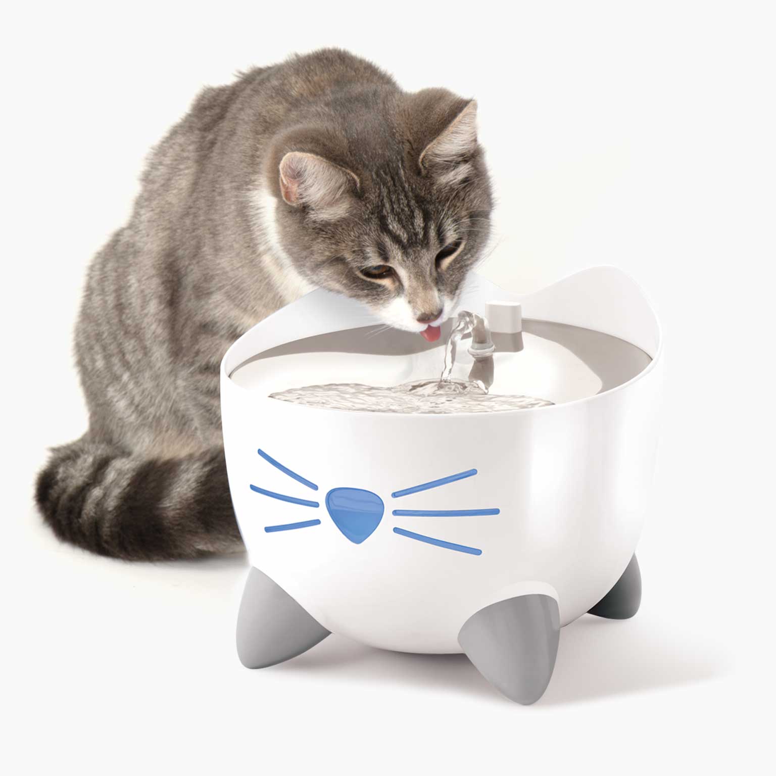 Discover the Catit PIXI Smart Fountain