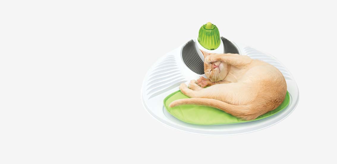 A ginger cat sleeping on a Catit PIXI grooming center with a green mat and brush attachments