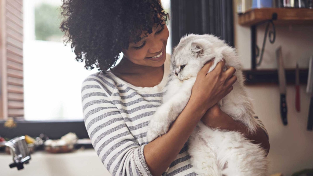 Perché adottare un gatto adulto e cosa aspettarsi