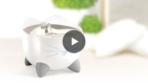 Catit pixi smart fountain video