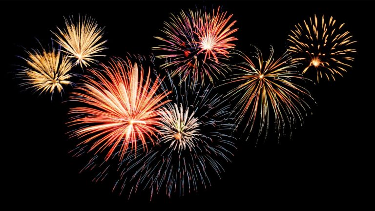 10 tips and tricks to keep your cat safe during fireworks