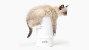 Which Catit Grooming Kit for my cat