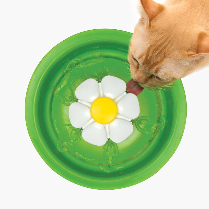 Eine Katze beim Trinken von einem Blumentrinkbrunnen mit 3 verschiedenen Wasserflusseinstellungen