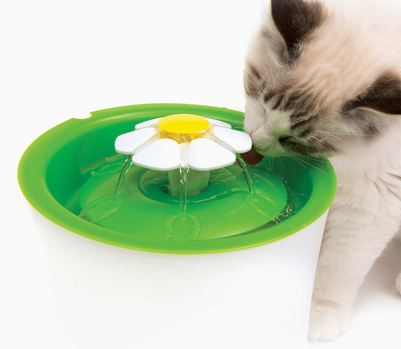 Gato bebiendo de la icónica flor que redefinió las fuentes de agua para gatos