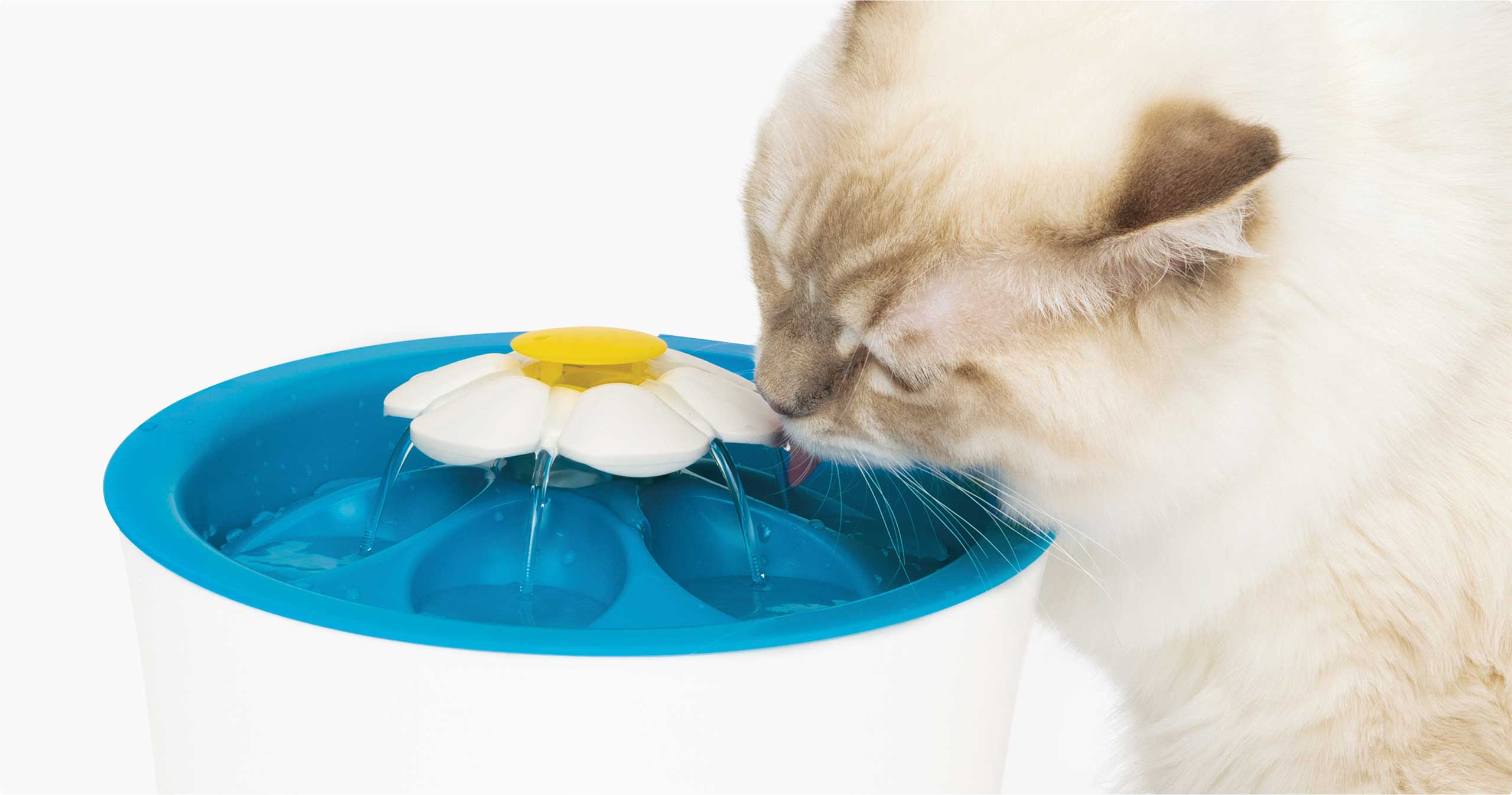 Kitten drinkt van de Catit LED Flower Fountain