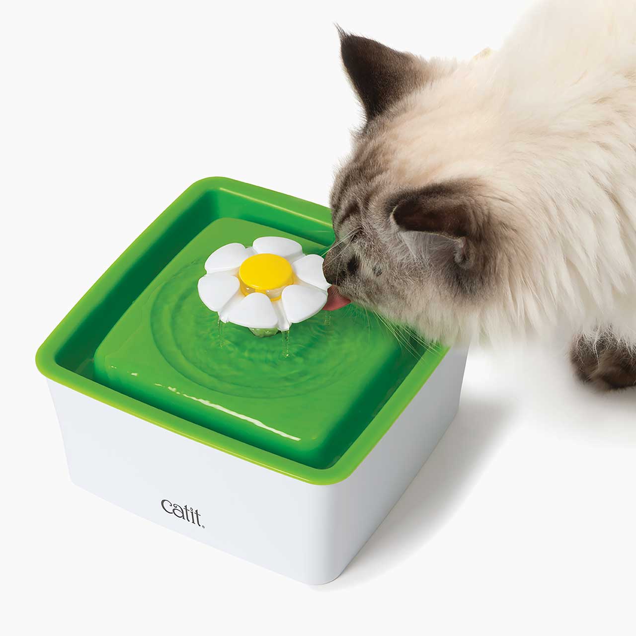 Kat drink van de Catit Mini Flower Fountain