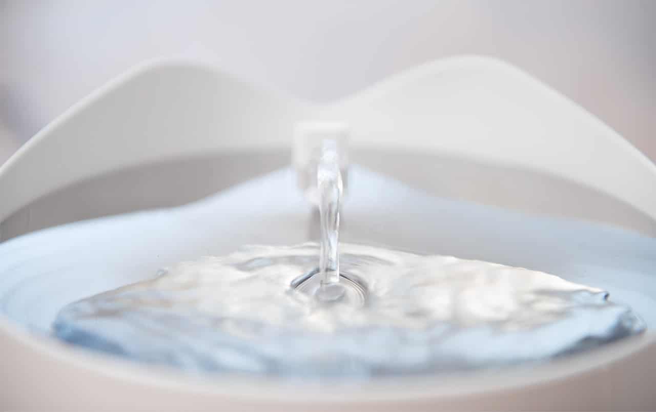 Catit Pixi Smart fountain close-up