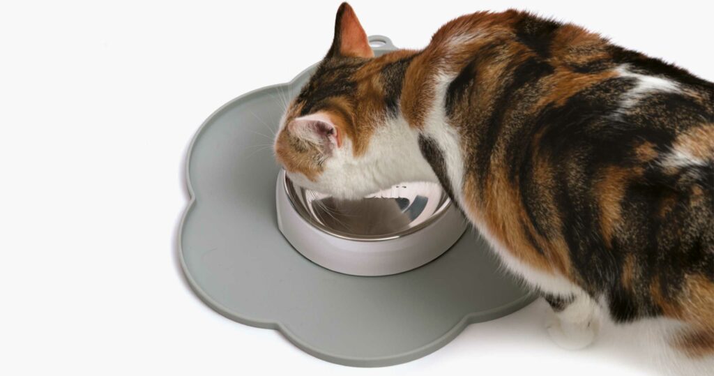 Napperon gris en forme de fleur et chat mangeant du bol de nourrissage