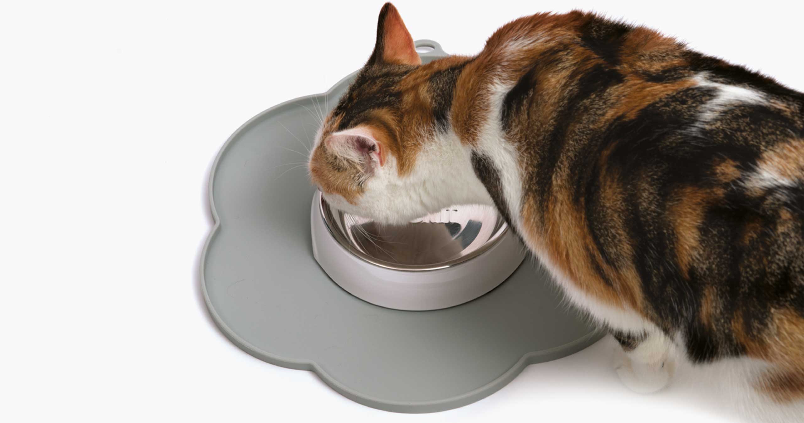 Mantel flor gris con gato comiendo del plato