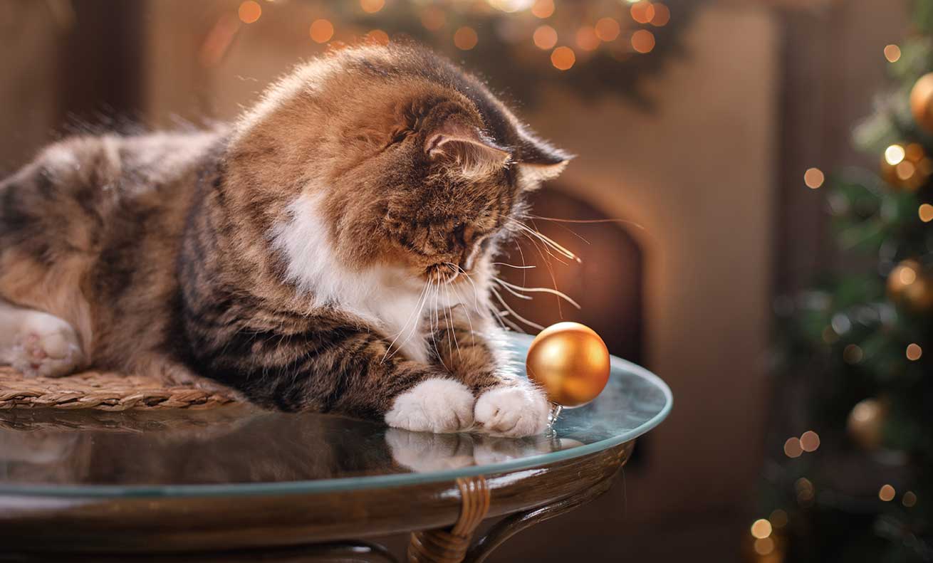 Les boules et les décorations en verre