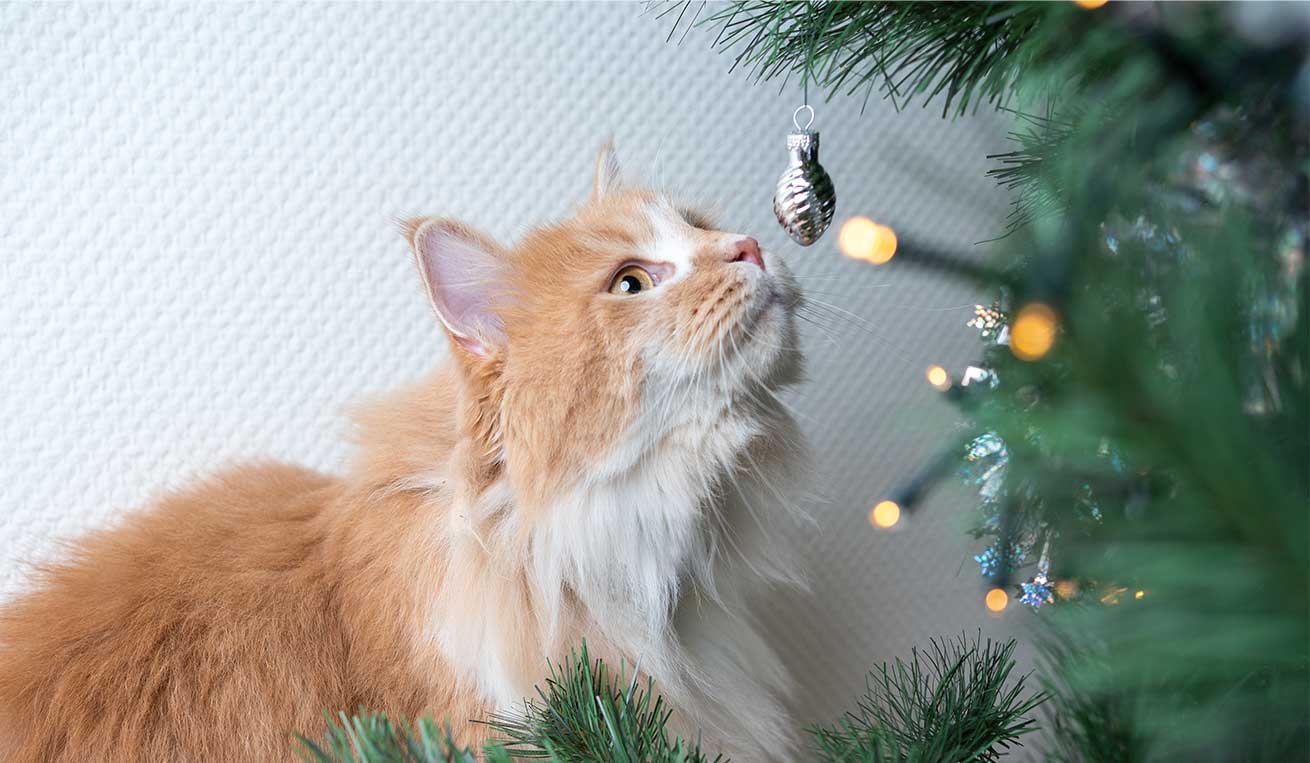 Make the tree smell unattractive to your cat
