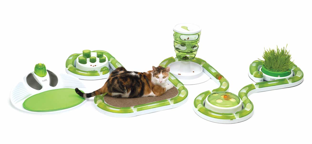 Cat play everyday - Catit Senses Playground