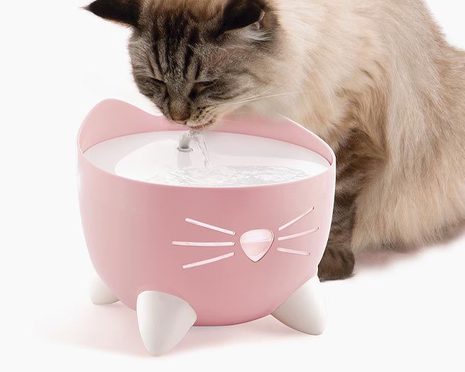 Catit PIXI Fountain