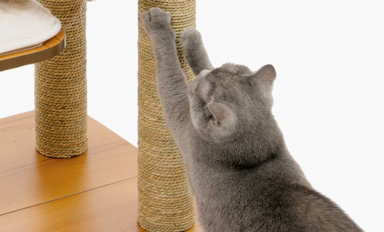scratching post