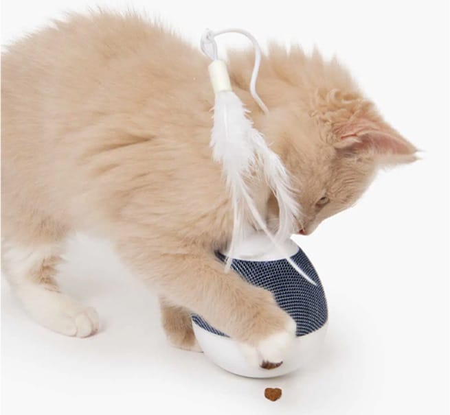 A light-colored kitten playing with a Catit PIXI Spinner toy that dispenses a treat on the floor