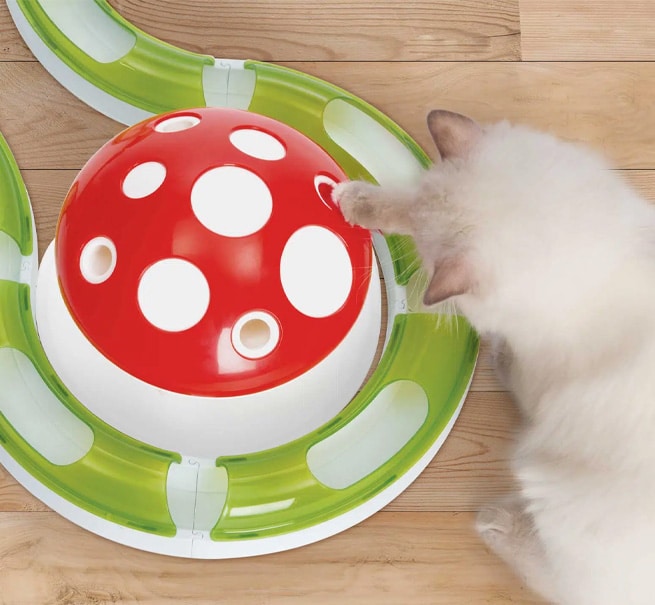 A fluffy cat playing with a red and white mushroom-shaped toy with a circular track base on a wooden floor