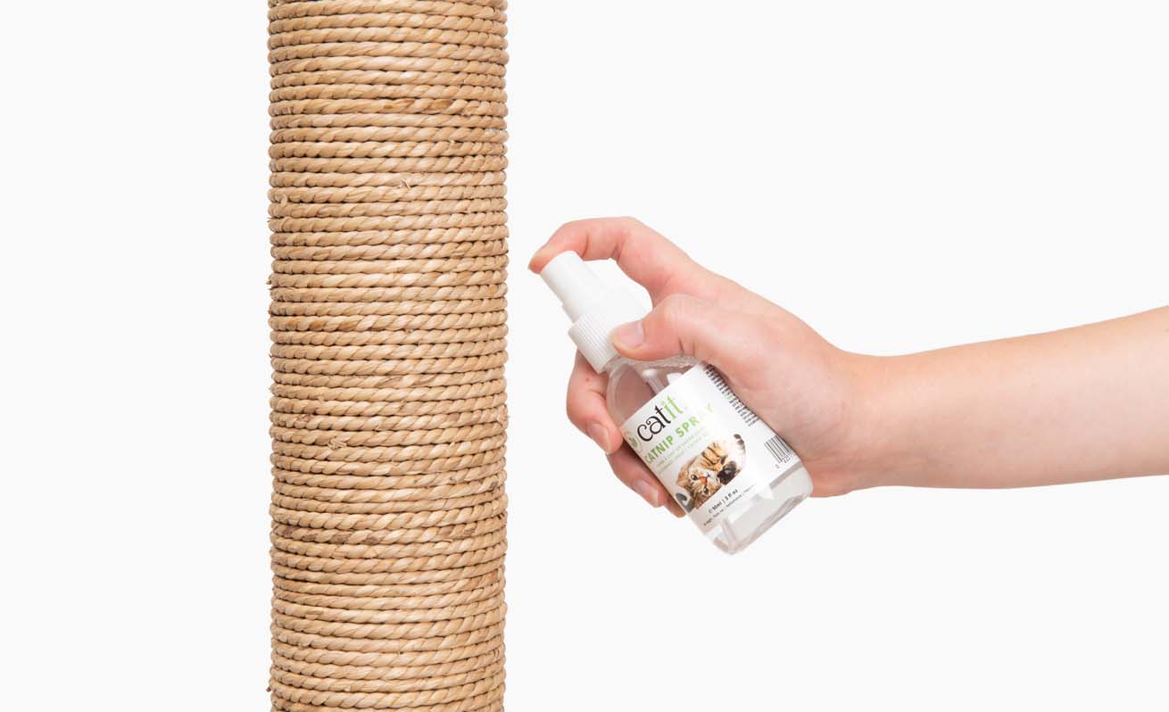 Katzenminzespray
