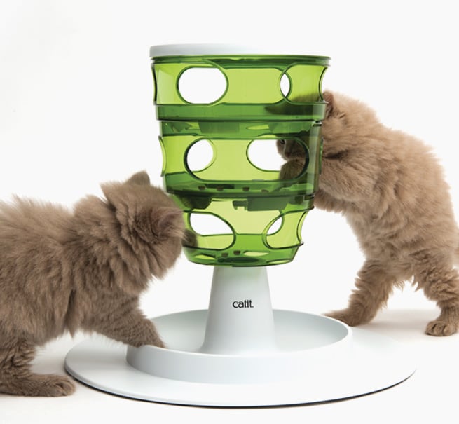 Cat Senses Food Tree