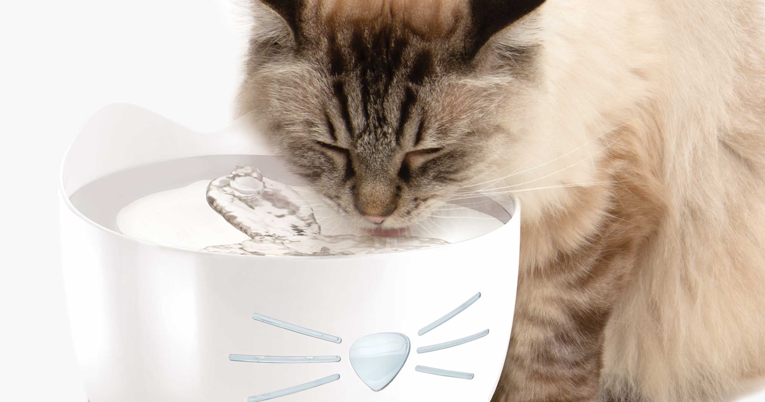 Cat drinking from PIXI fountain with stainless steel top