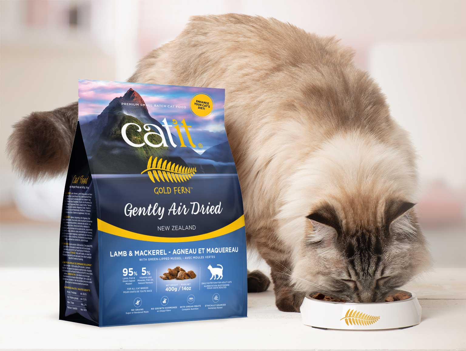 Dry cat kibble with well-preserved nutrients for enhancing your cat's diet