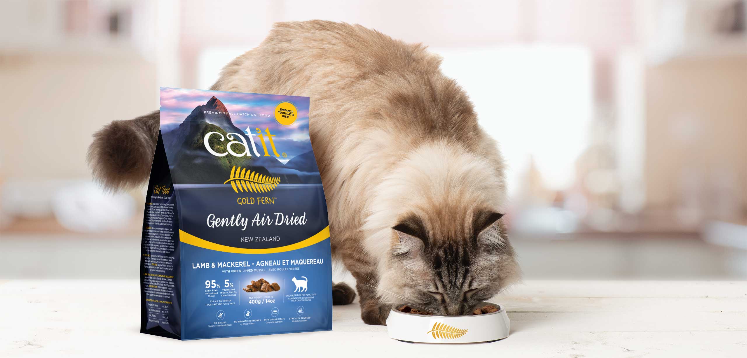Dry cat kibble with well-preserved nutrients for enhancing your cat's diet