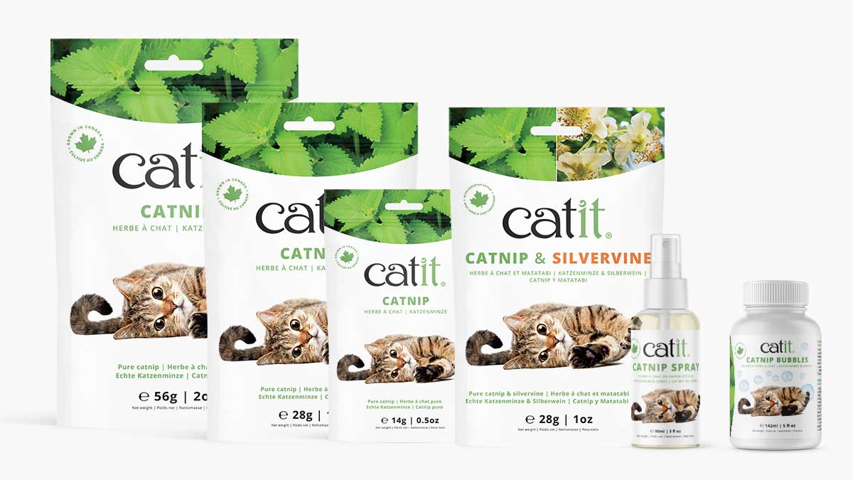 Catit Dried Catnip and Silverine Mix for Stimulating Indoor and Outdoor Cats