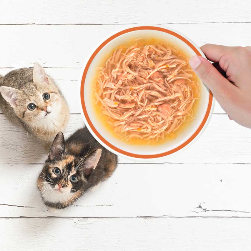 Comida húmida para gatos em pedacinhos desfiados