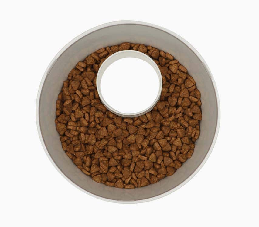 Stored dry cat food