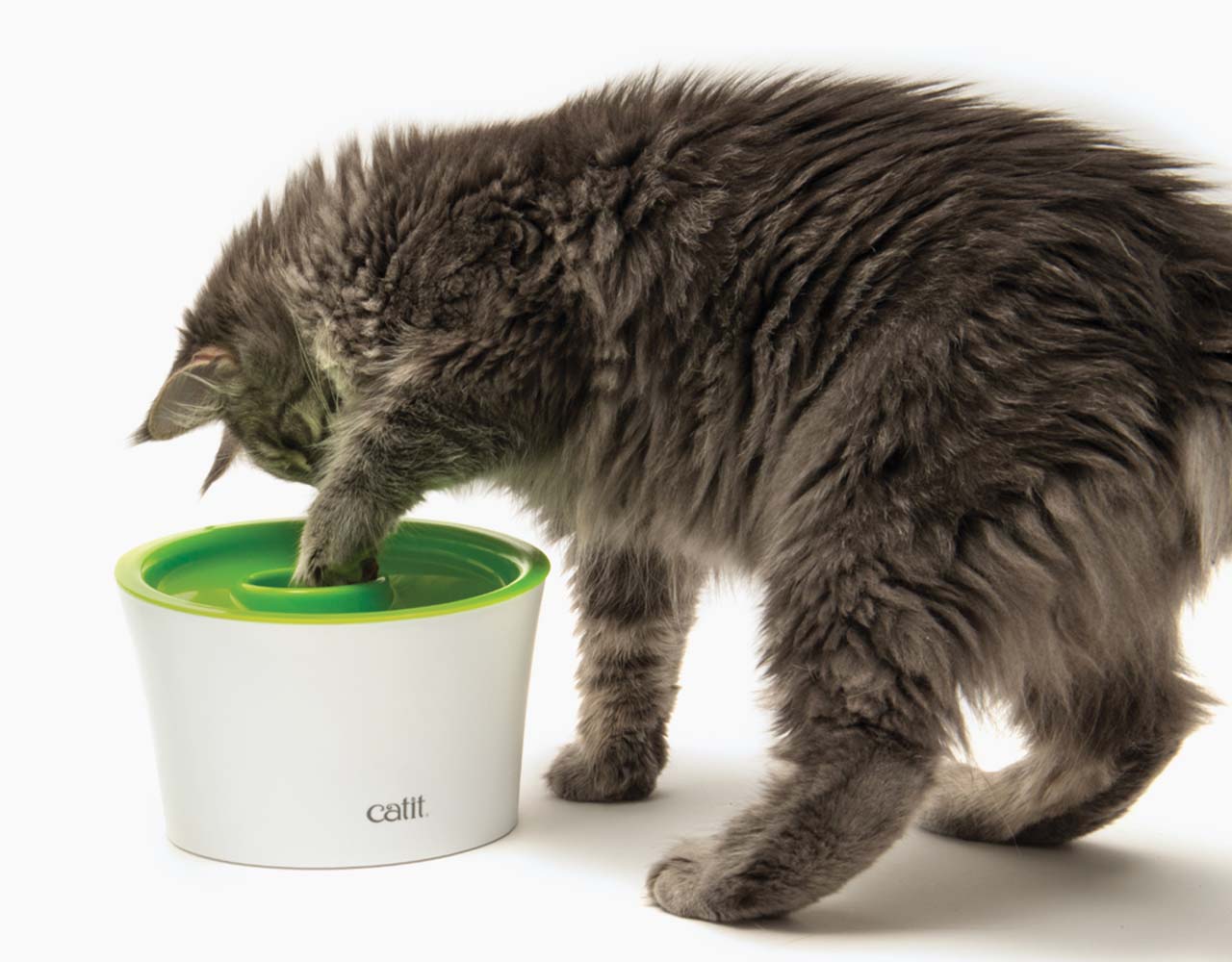 Katzenfutternapf für eine verlangsamte Futteraufnahme mit Pfotenöffnung, um Futter oder Leckerlis herauszugreifen