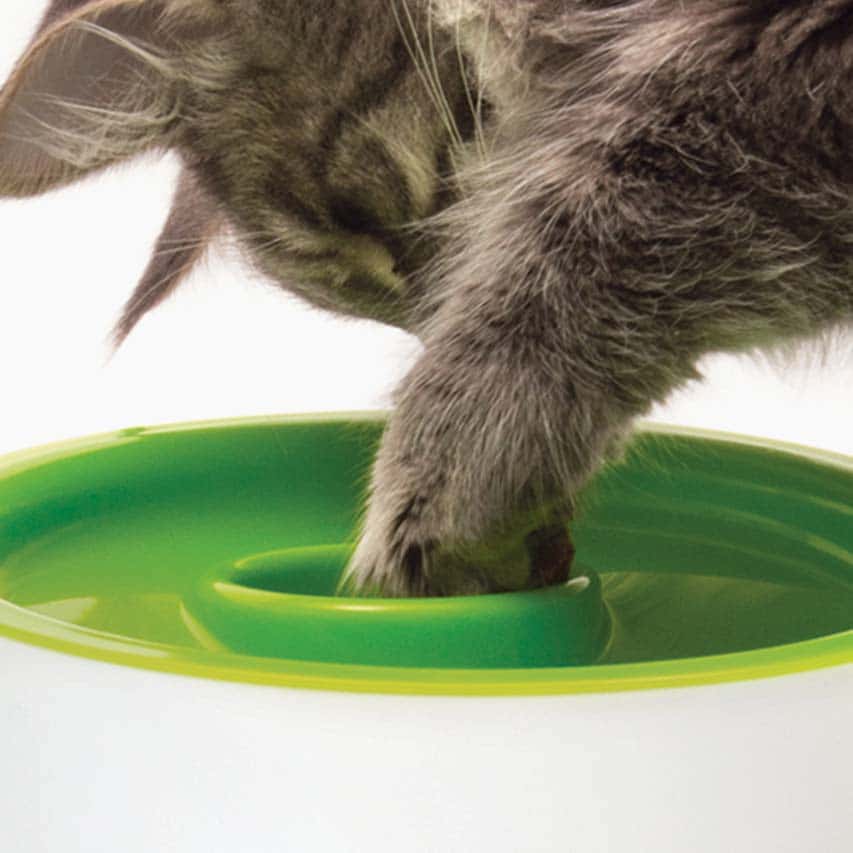 Slow feeder has built-in cup filled with dry cat food or treats