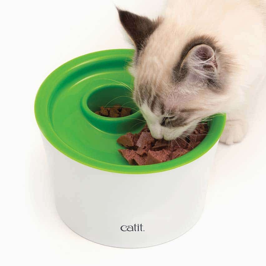 Raised cat food bowl with whisker-friendly design