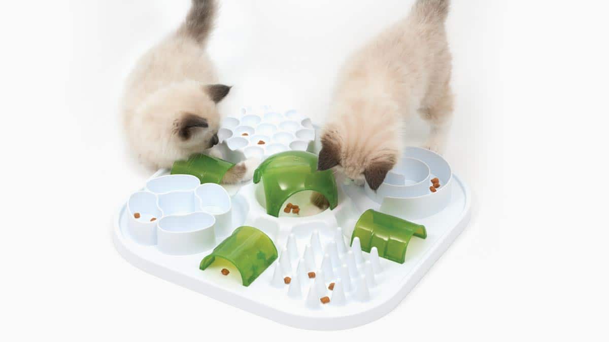 The Catit Treat Maze - Food Puzzles for Cats