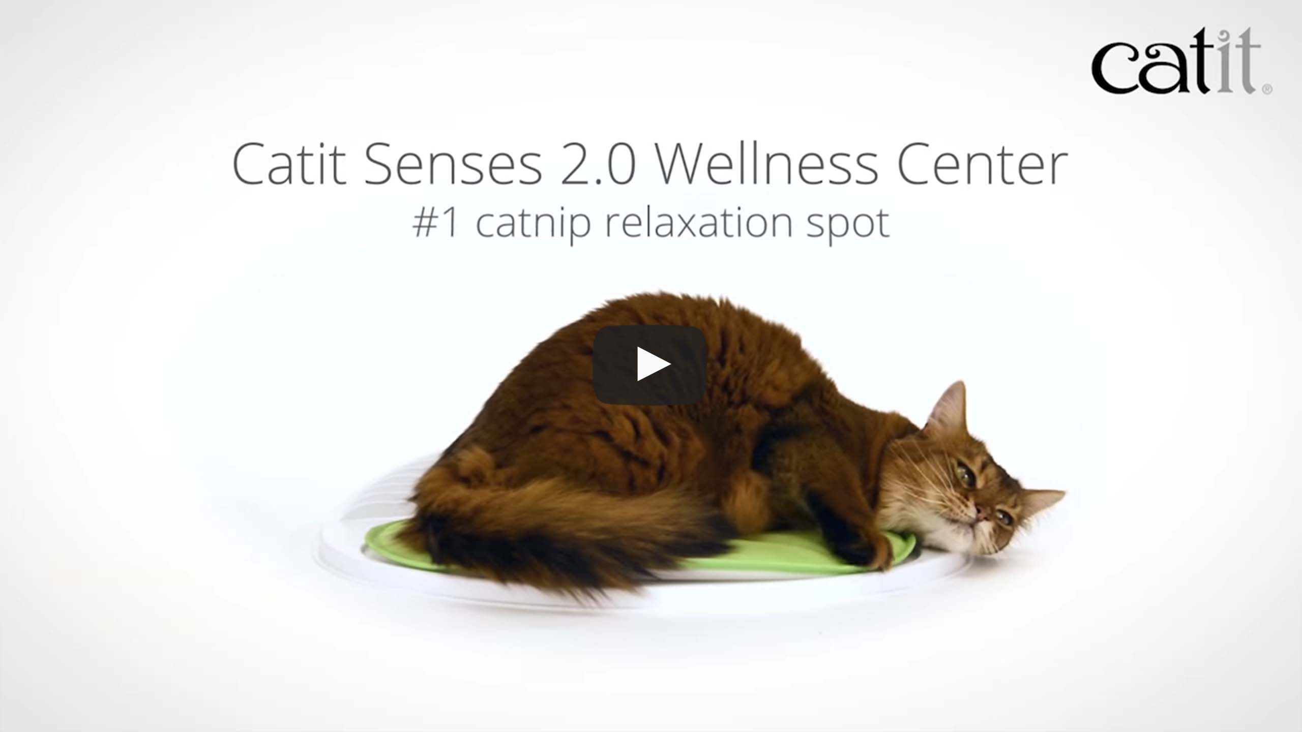 Video: Catit Senses Wellness Center