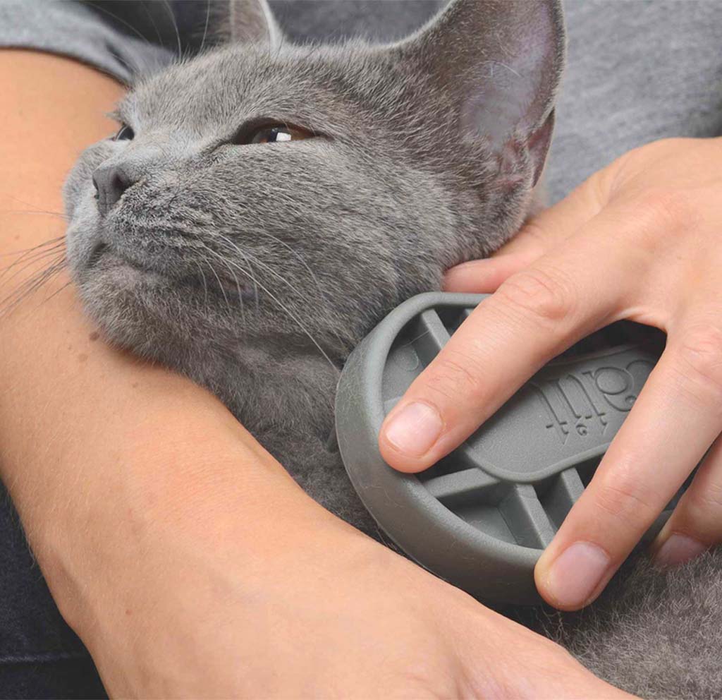 Massageie seu gato com a escova de palma de borracha