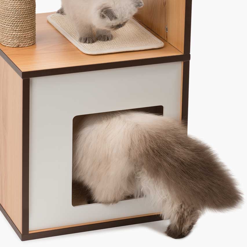 Kompakte Katzenmöbel