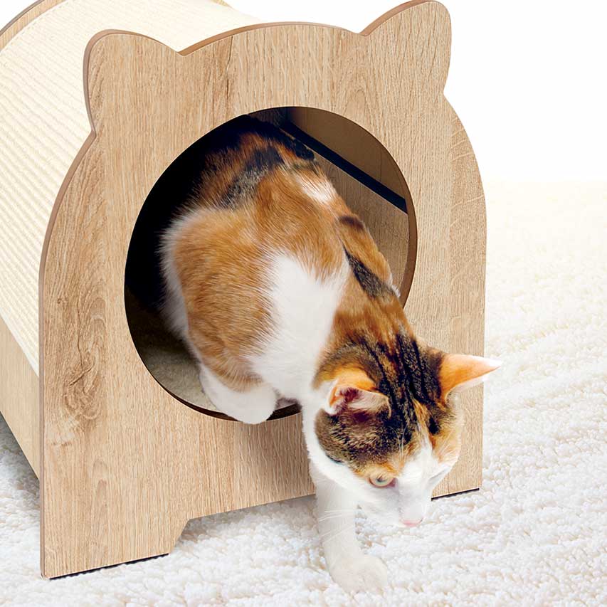 Comfortabele verstopplaats voor katten