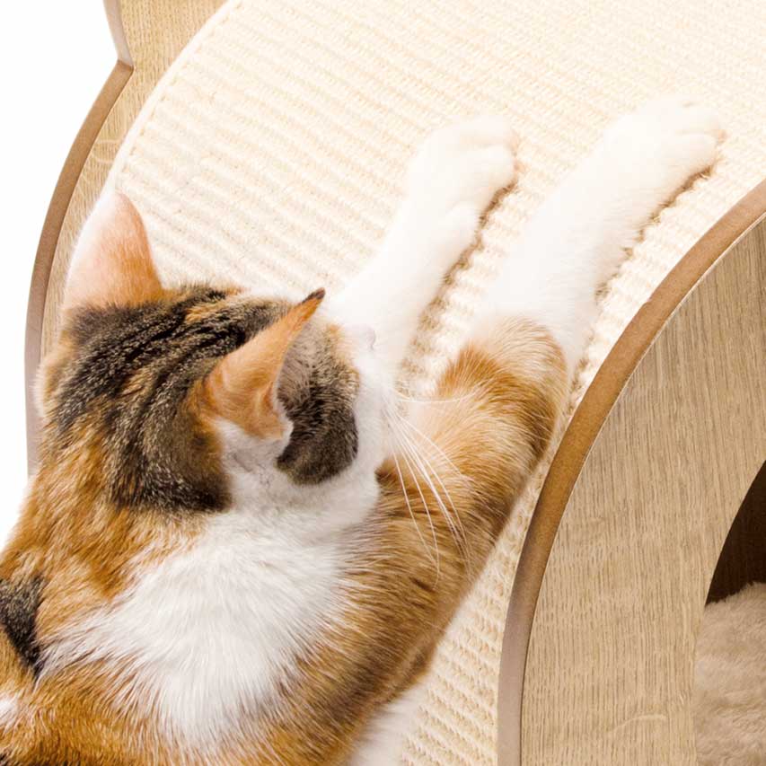 Tapis à griffer en sisal pour que votre chat fasse ses griffes en s’étirant