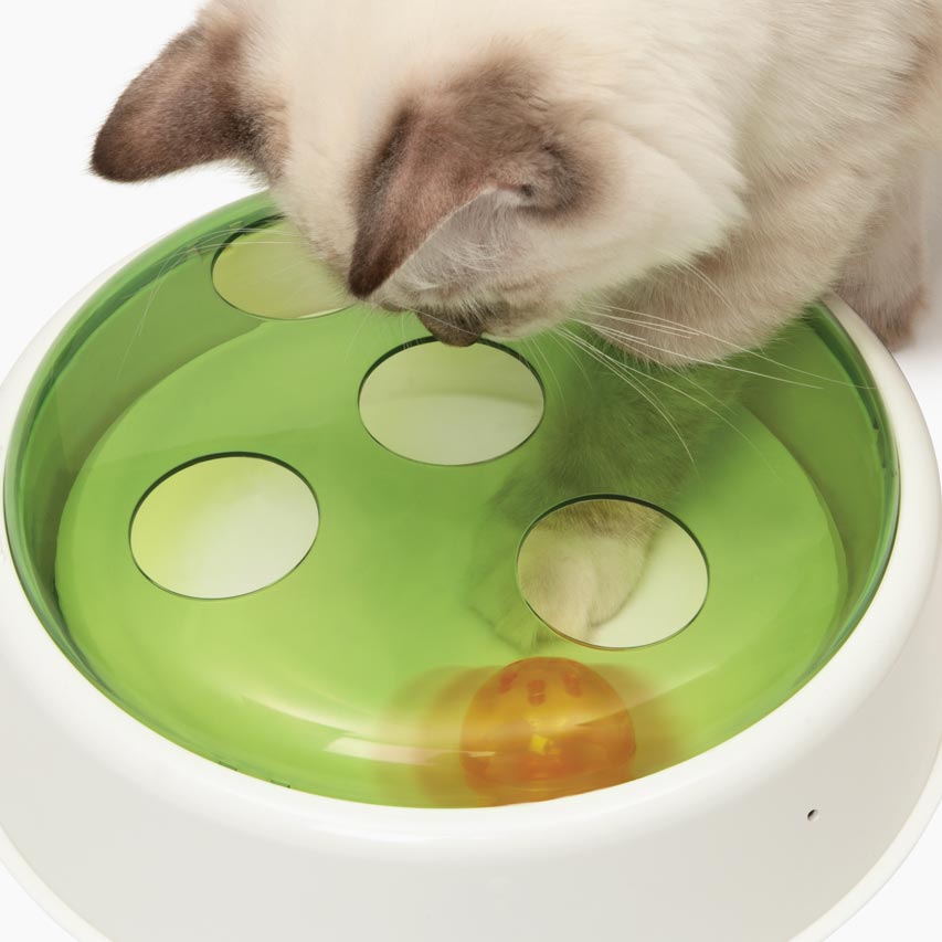 Interactive cat toy with paw-friendly cover