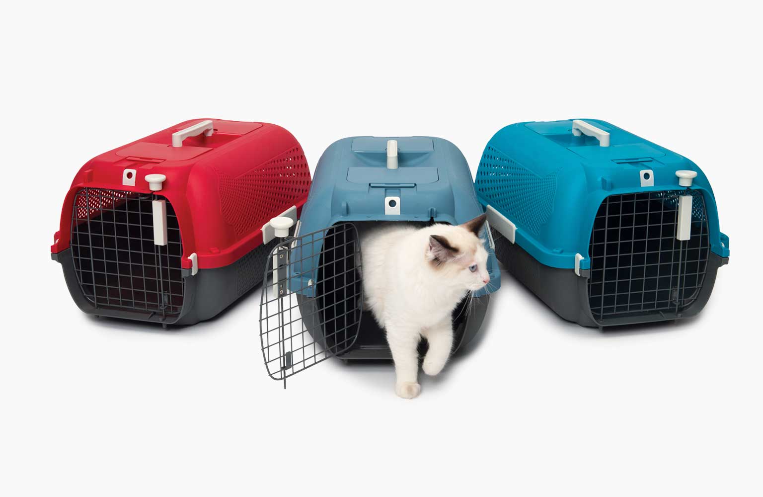Cage de transport Catit pour chats