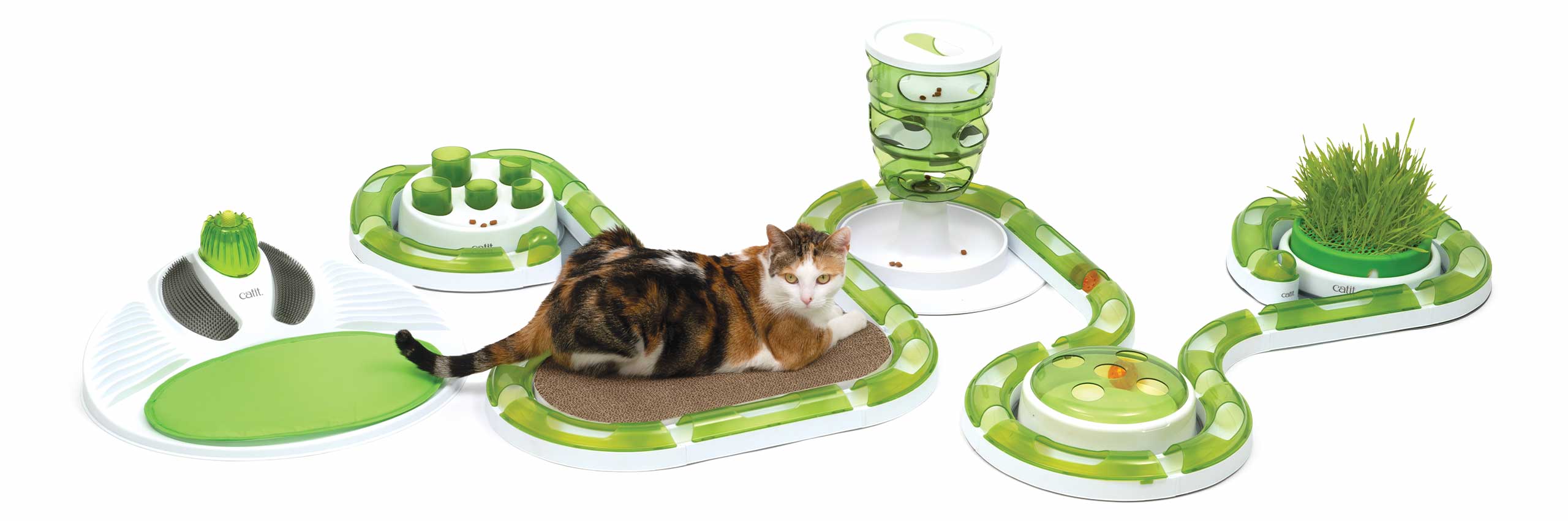 Eine Katze entspannt sich auf dem ovalen Kratzbrett auf ihrem Catit Senses Spielplatz