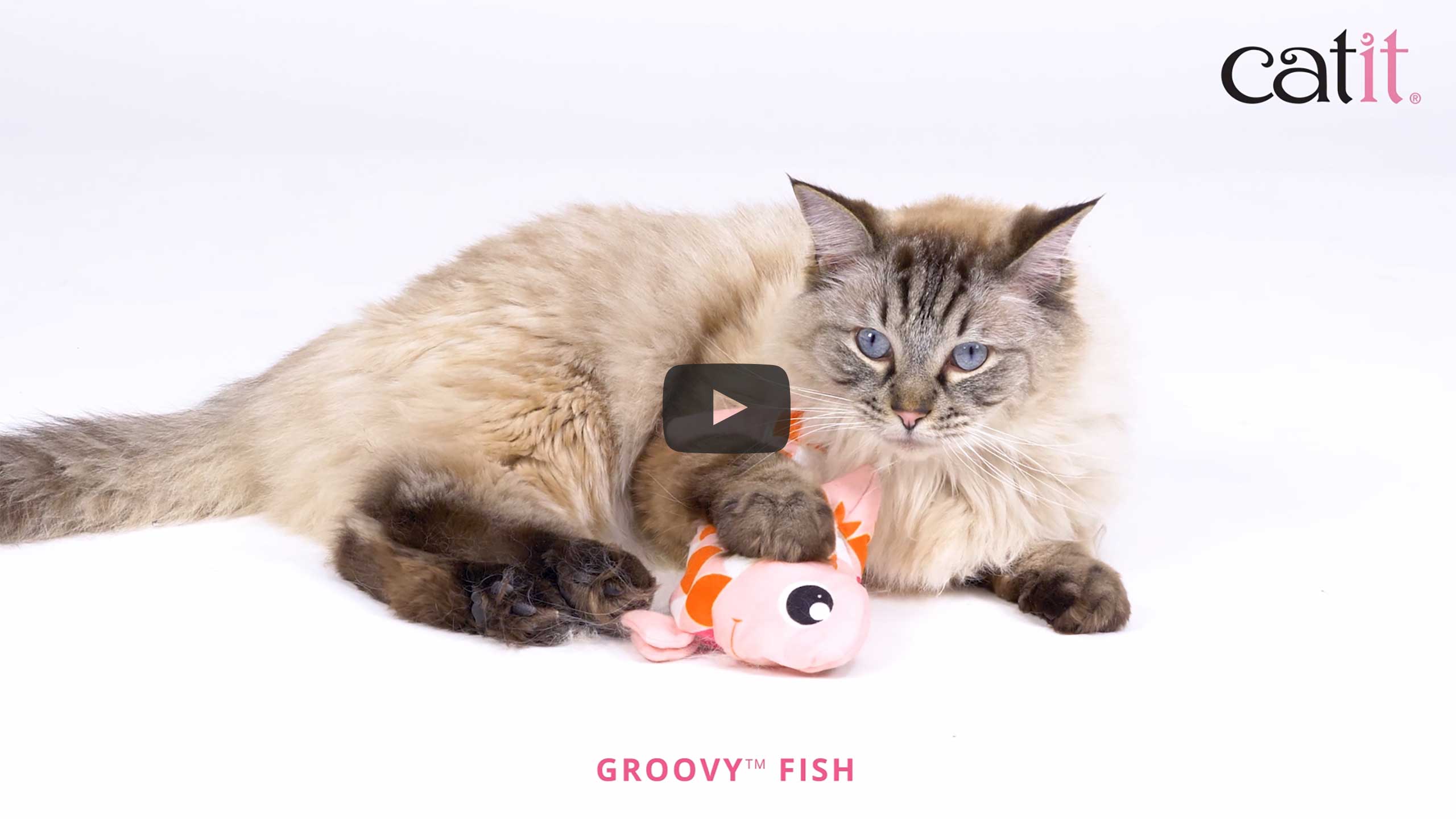 Catit Groovy Fish vídeo
