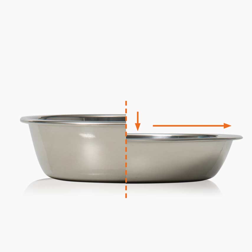 cat feeding dish with whisker-friendly design